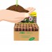 2000 Count - Jiffy 7 Peat Pellets - Seed Starter Soil Plugs - 36 mm - Start Seedlings Indoors - Easy To Transplant to Garden   567210371